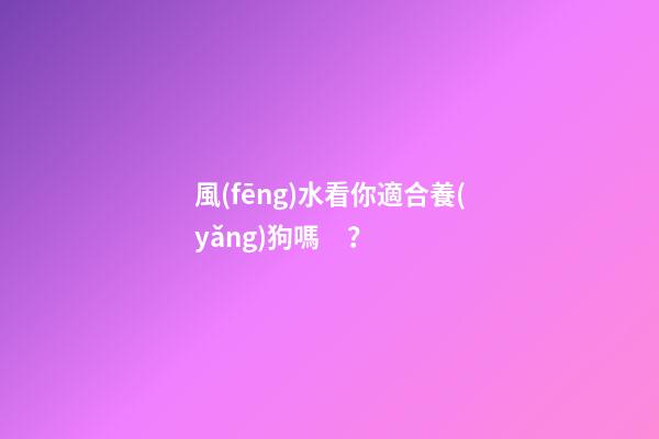 風(fēng)水看你適合養(yǎng)狗嗎？